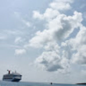 Meet your Posher, Tony